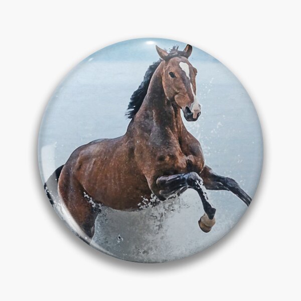 Artikelvorschau, Seepferdchen entworfen und verkauft von horseymj1.