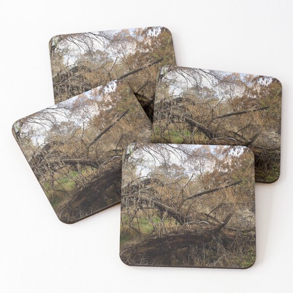 Item preview, Fall mountain woods with rocks, boulders and trees designed and sold by Ventures1.