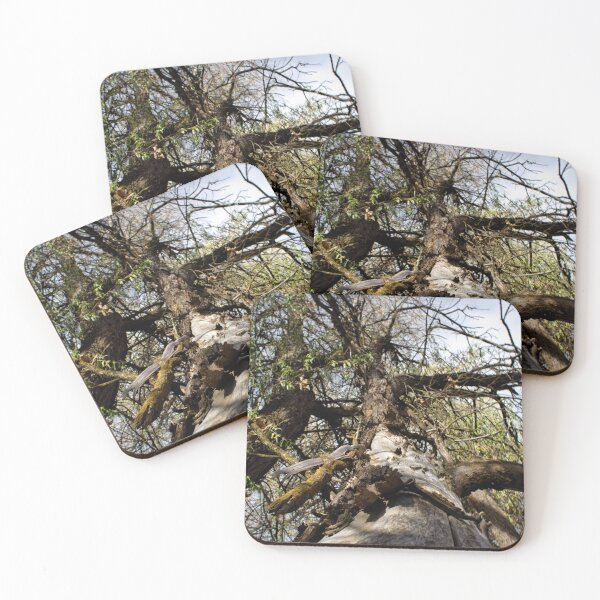 Item preview, Fall mountain woods with rocks, boulders and trees designed and sold by Ventures1.