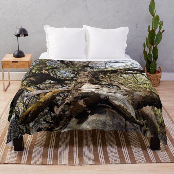 Item preview, Fall mountain woods with rocks, boulders and trees designed and sold by Ventures1.