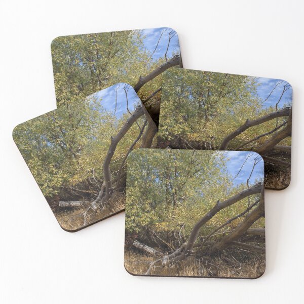 Item preview, Fall mountain woods with rocks, boulders and trees designed and sold by Ventures1.