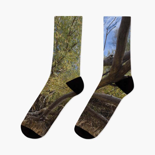 Item preview, Fall mountain woods with rocks, boulders and trees designed and sold by Ventures1.