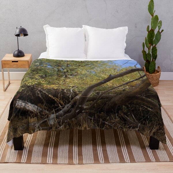 Item preview, Fall mountain woods with rocks, boulders and trees designed and sold by Ventures1.