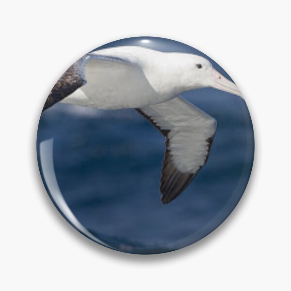 Item preview, Beautiful albatross flying.  designed and sold by Lan thi Nguyen.