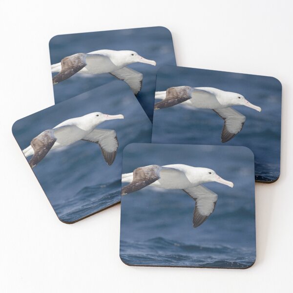 Item preview, Beautiful albatross flying.  designed and sold by Lan thi Nguyen.