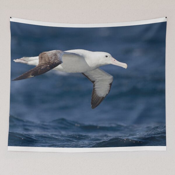 Item preview, Beautiful albatross flying.  designed and sold by Lan thi Nguyen.
