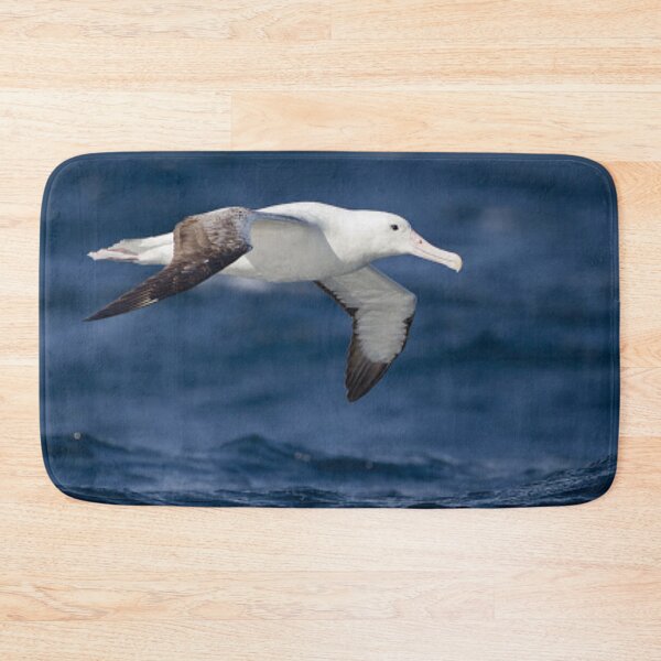 Item preview, Beautiful albatross flying.  designed and sold by Lan thi Nguyen.