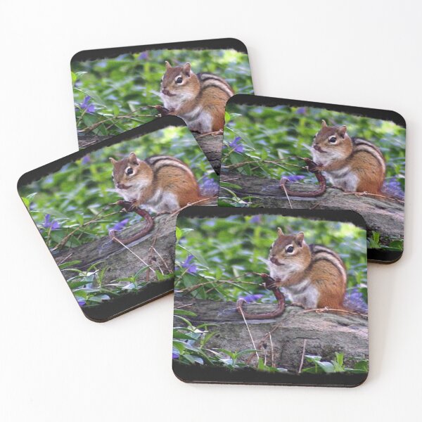 Item preview, CHIPMUNK ON ROCK FLORA designed and sold by THE AMERICAN TEEVANGELIST.