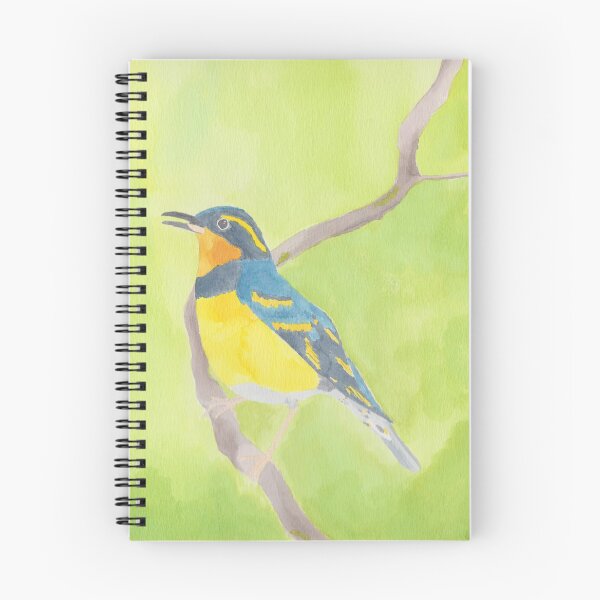 Item preview, Varied Thrush watercolor bird art wildlife painting designed and sold by TheWaterBirds.