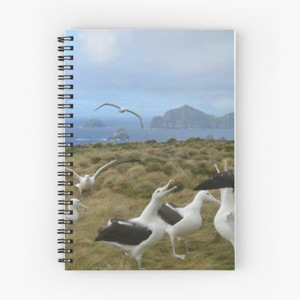 Item preview, Happy albatross family. designed and sold by Lan thi Nguyen.