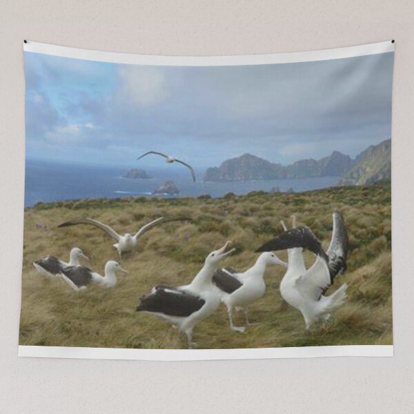 Item preview, Happy albatross family. designed and sold by Lan thi Nguyen.