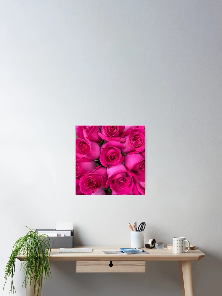 Thumbnail 2 of 3, Poster, Pink Roses designed and sold by Jason Tompkins.
