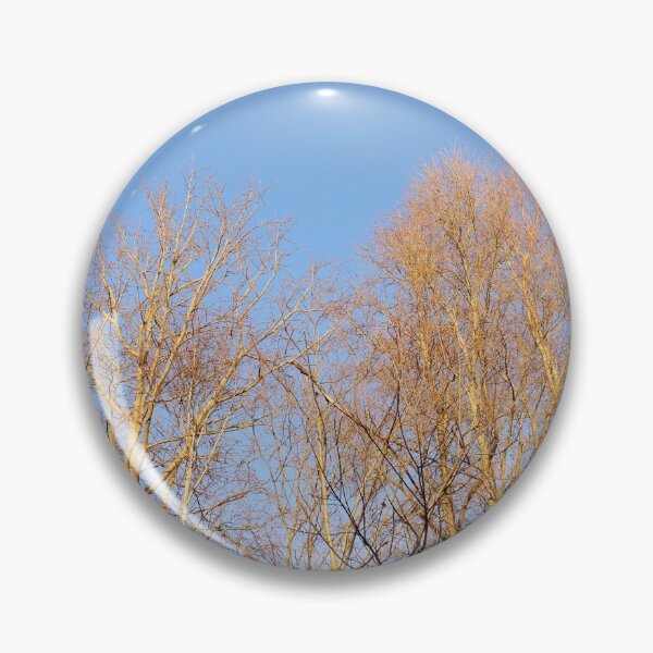Item preview, Winter sun on the maple trees designed and sold by wineandwords.