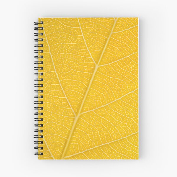 Aperçu de l'œuvre Feuille d'automne créée et vendue par philippemx.