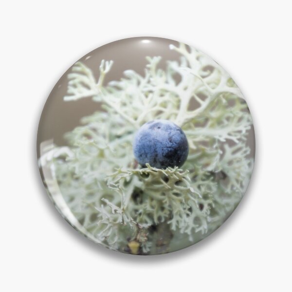 Item preview, Damson in distress designed and sold by JEZ22.
