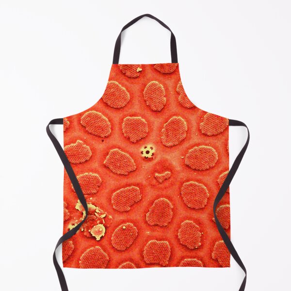 Item preview, Diatom - Thalassiosira in SEM (cribra, orange) designed and sold by DiatomsATTACK.