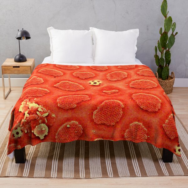 Item preview, Diatom - Thalassiosira in SEM (cribra, orange) designed and sold by DiatomsATTACK.