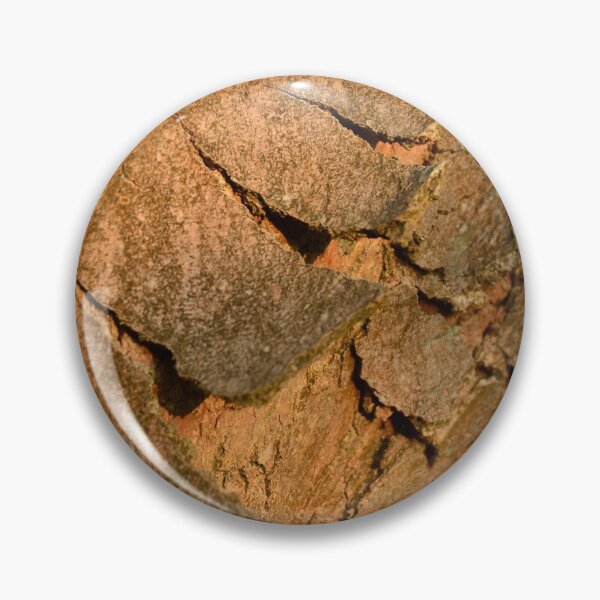 Item preview, Sunlight on tree bark in the urban garden designed and sold by wineandwords.