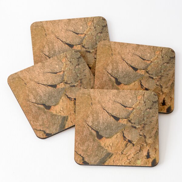 Item preview, Sunlight on tree bark in the urban garden designed and sold by wineandwords.