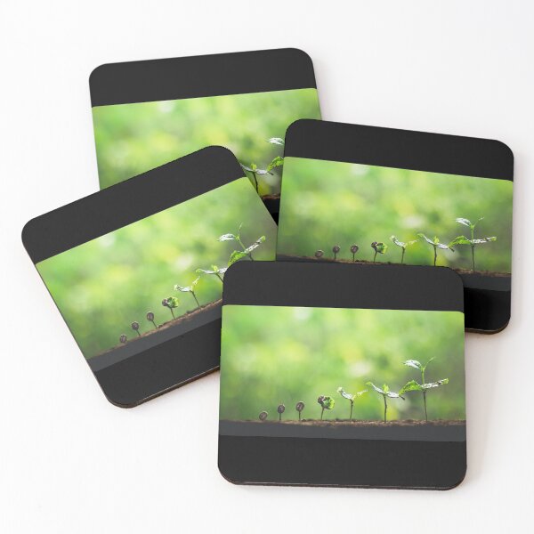 Item preview, Stages Of Plant Life designed and sold by LisaRoseDesigns.