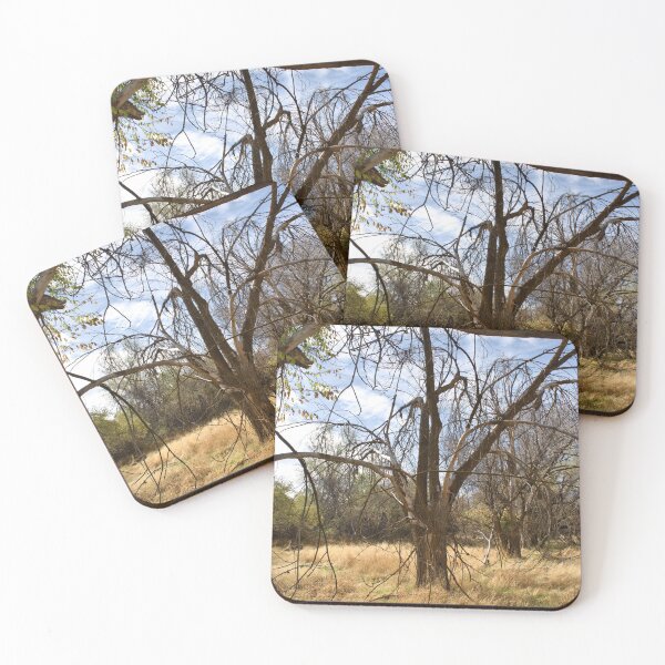 Item preview, Fall mountain woods with rocks, boulders and trees designed and sold by Ventures1.