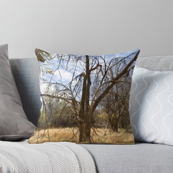 Item preview, Fall mountain woods with rocks, boulders and trees designed and sold by Ventures1.