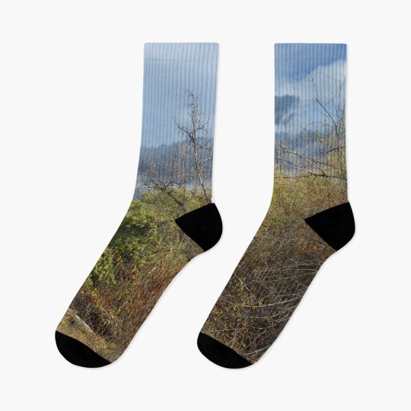 Item preview, Fall mountain woods with rocks, boulders and trees designed and sold by Ventures1.