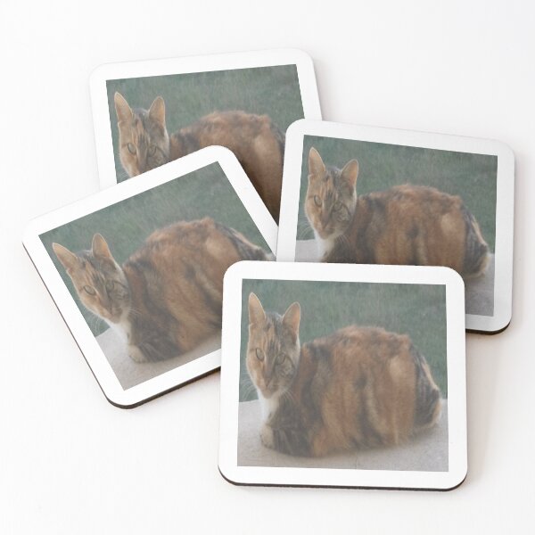 Item preview, Domestic cat designed and sold by IVEKDESIGN.