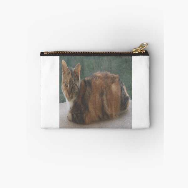 Item preview, Domestic cat designed and sold by IVEKDESIGN.