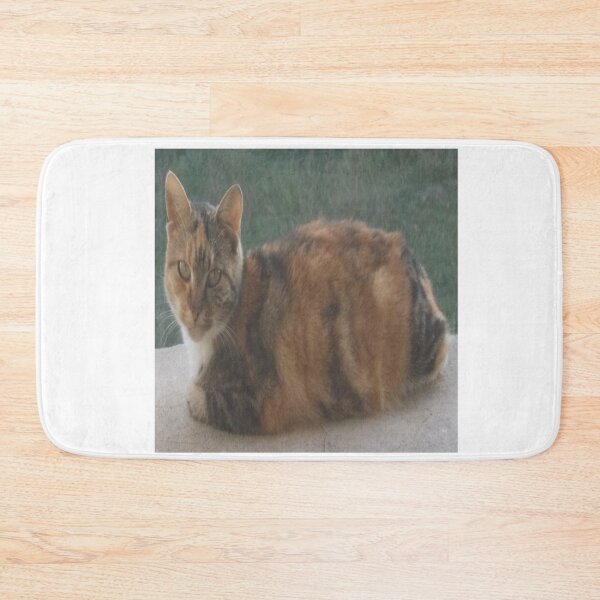 Item preview, Domestic cat designed and sold by IVEKDESIGN.