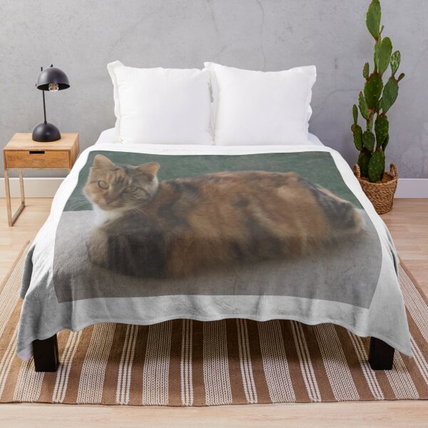 Item preview, Domestic cat designed and sold by IVEKDESIGN.