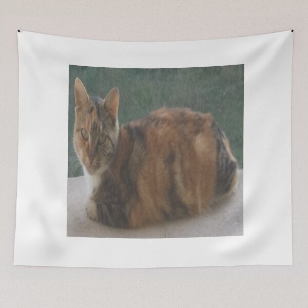 Item preview, Domestic cat designed and sold by IVEKDESIGN.