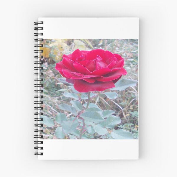 Artikelvorschau, Rose entworfen und verkauft von IVEKDESIGN.