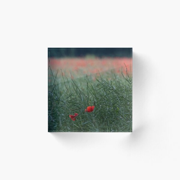 Item preview, Poppies in Long Grass designed and sold by JayFarrell.