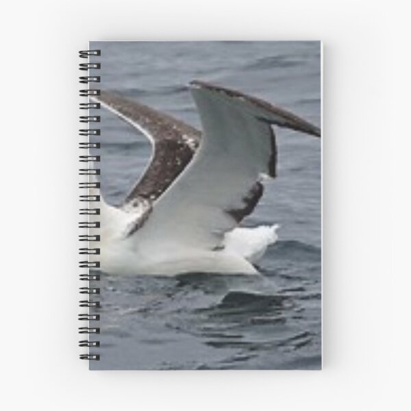 Item preview, Beautiful albatross. designed and sold by Lan thi Nguyen.