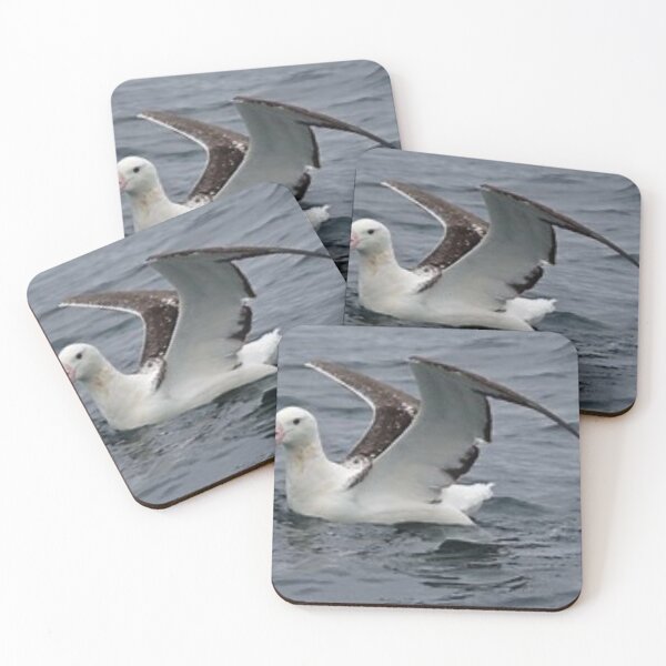 Item preview, Beautiful albatross. designed and sold by Lan thi Nguyen.