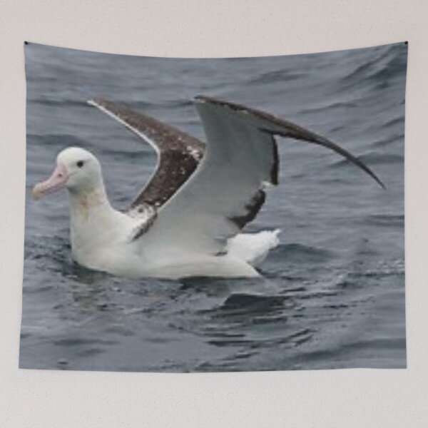Item preview, Beautiful albatross. designed and sold by Lan thi Nguyen.