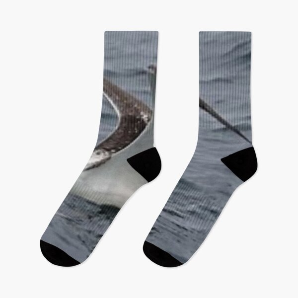 Item preview, Beautiful albatross. designed and sold by Lan thi Nguyen.