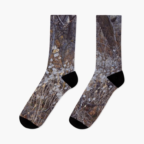 Item preview, Fall mountain woods with rocks, boulders and trees designed and sold by Ventures1.