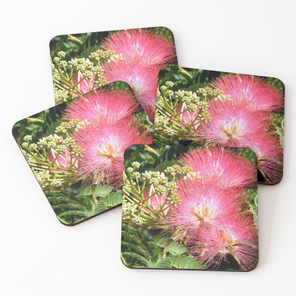 Item preview, Mimosa Flowers and buds designed and sold by Shulie1.