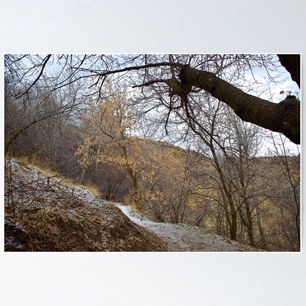 Item preview, Fall mountain woods with rocks, boulders and trees designed and sold by Ventures1.