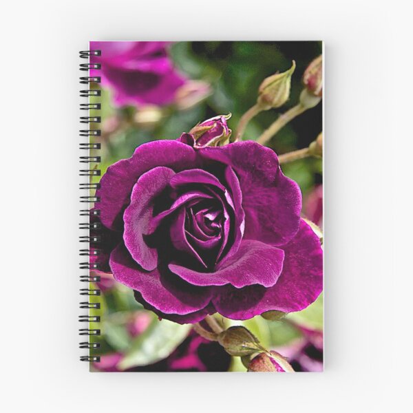 Item preview, Lascivious Rose designed and sold by John Thurgood.