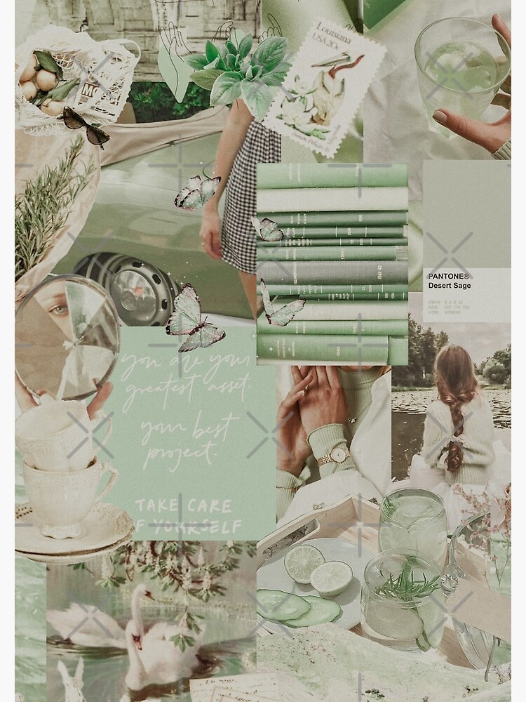 60 DIGITAL Sage Green Aesthetic Collage Sage Green Photo Wallpaper  Collagesage Green Collage Kit 