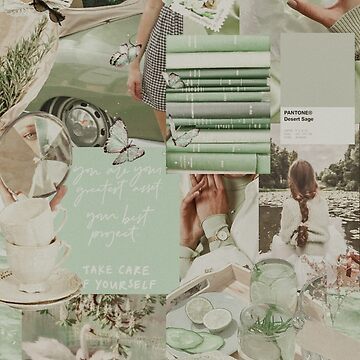 60 DIGITAL Sage Green Aesthetic Collage Sage Green Photo Wallpaper  Collagesage Green Collage Kit 