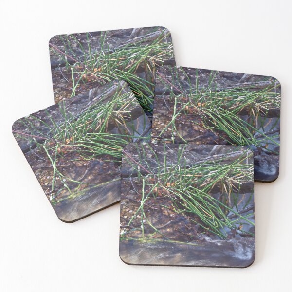 Item preview, Fall mountain woods with rocks, boulders and trees designed and sold by Ventures1.