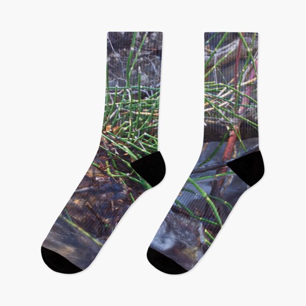 Item preview, Fall mountain woods with rocks, boulders and trees designed and sold by Ventures1.