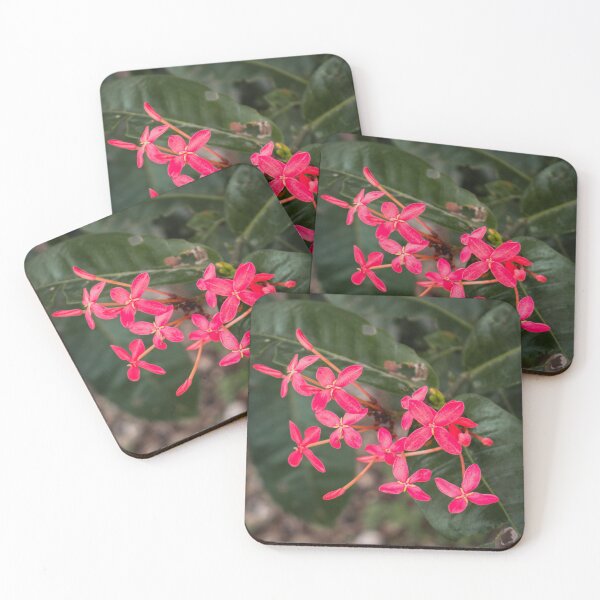 Artikelvorschau, Tropisches Rosenepidendrum entworfen und verkauft von PBE-Store.