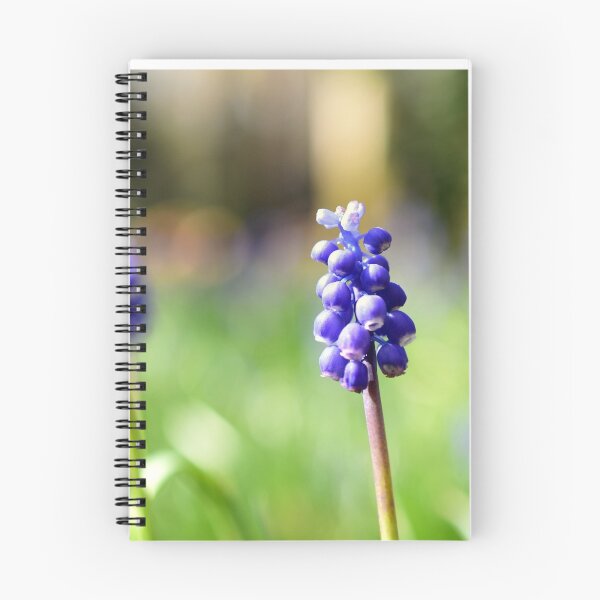 Item preview, " Muscari Woods " designed and sold by Richard Couchman.