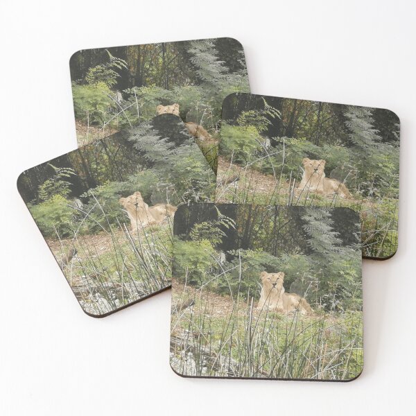 Item preview, Lion Park Golden Head Portrait Photo Cushion Mat designed and sold by Axel20.
