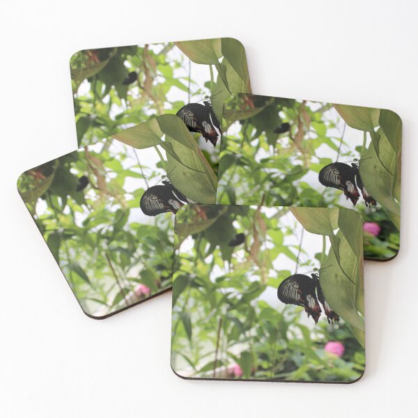 Item preview, Butterfly House at Blenheim Palace designed and sold by Bryony Rose.